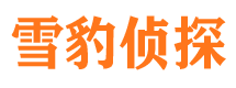 乐陵侦探公司